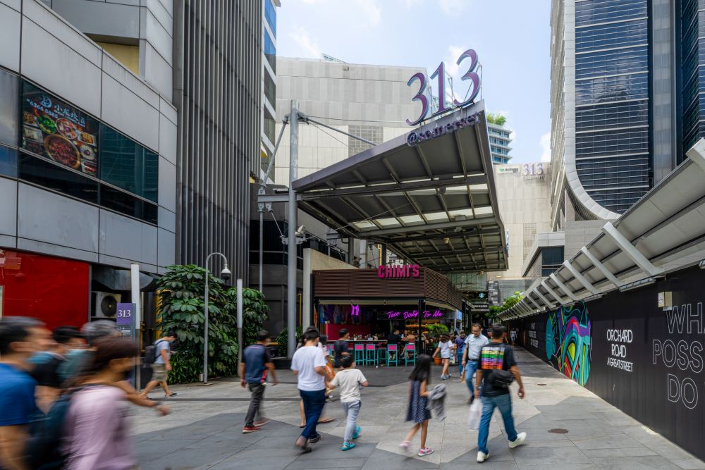 313Somerset-1.jpg
